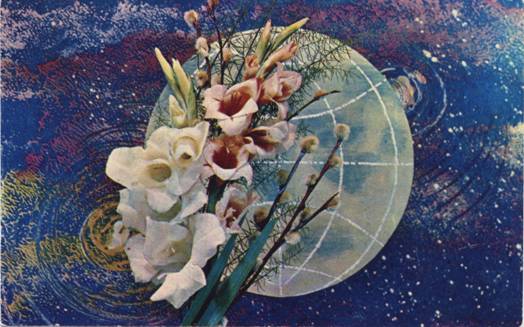 Коллаж: ветви вербы и цветы на фоне схематичного земного шара